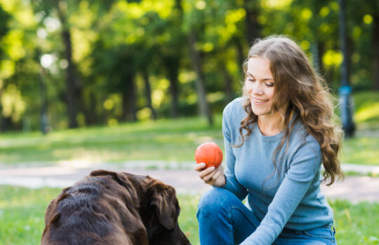 happy-woman-with-ball-shaking-her-dog-s-paw-park