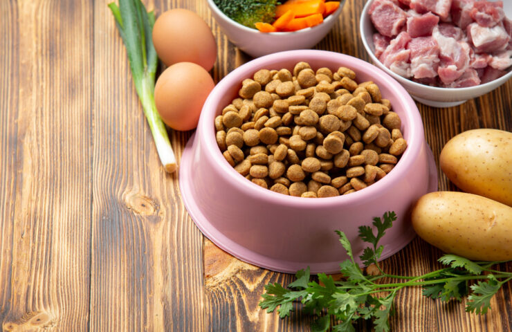 healthy-fresh-pet-food-ingredients-dark-surface