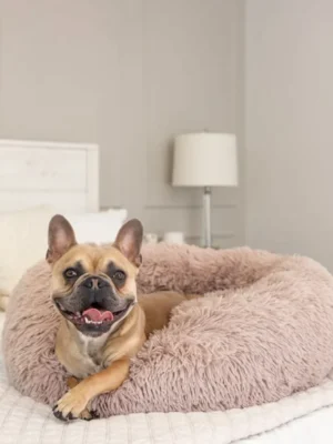 CozyPaws™ Luxury Pet Bed