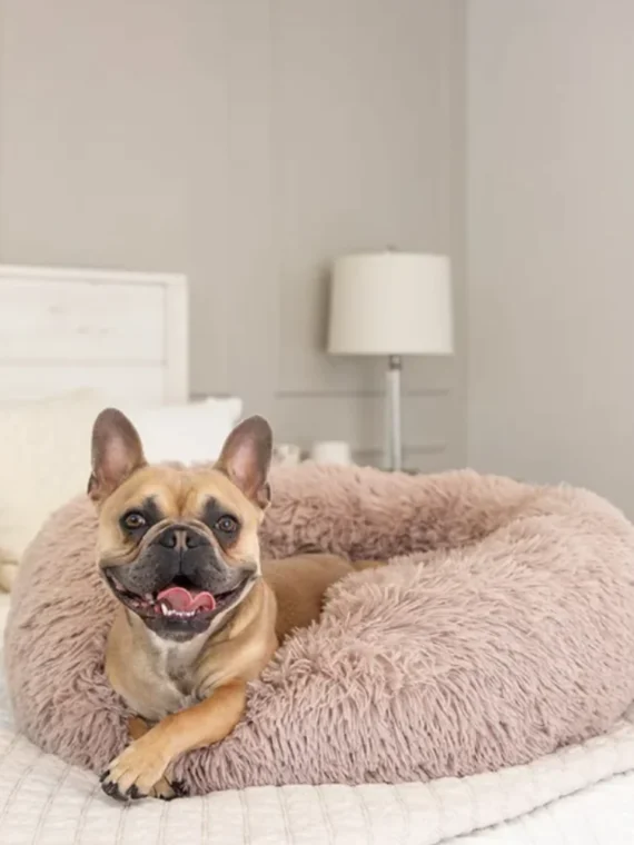 CozyPaws™ Luxury Pet Bed