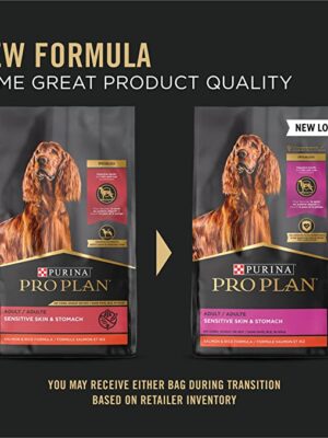 81tyKqe2HHL._AC_SX679_