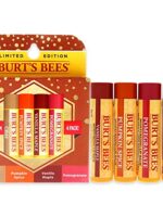 Burts Bees Winter Lip Balm Variety Pack of 4