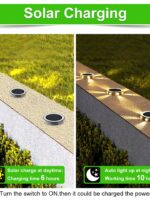 6LED Outdoor Solar Ground Light for Path Lawn